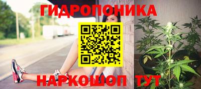 винт Кимры