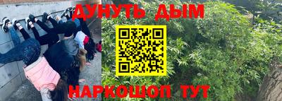 ПСИЛОЦИБИНОВЫЕ ГРИБЫ Кинель