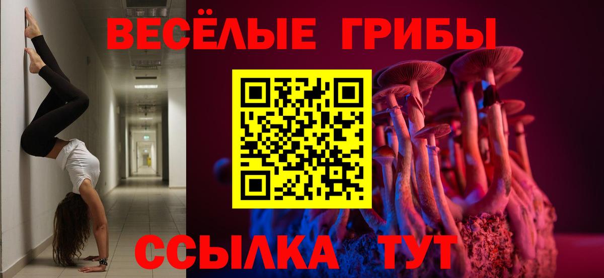 Псилоцибиновые грибы Cubensis  Вход с VPN  Красногорск  Галлюциногенные грибы Cubensis 
